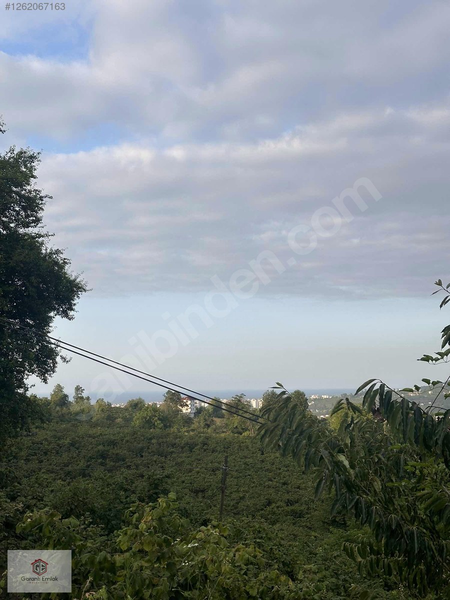 TERZİLİDE 300m2 SATILIK BAHÇE - ORDU ALTINORDU fotoğraf 3