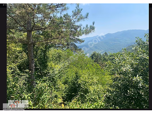 AYHAN HEPDİKER DEN GEYVE NURİOSMANİYEDE 18000 M2 HARİKA KONUMDA - SAKARYA GEYVE fotoğraf 42