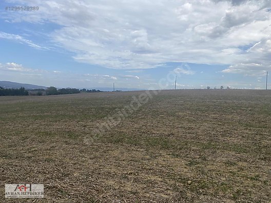 KOCAELİ ARAMAN DA ADAPAZARI KANDIRA YOLUNA CEPHELİ 3506 M2 TARLA - KOCAELİ KANDIRA fotoğraf 18