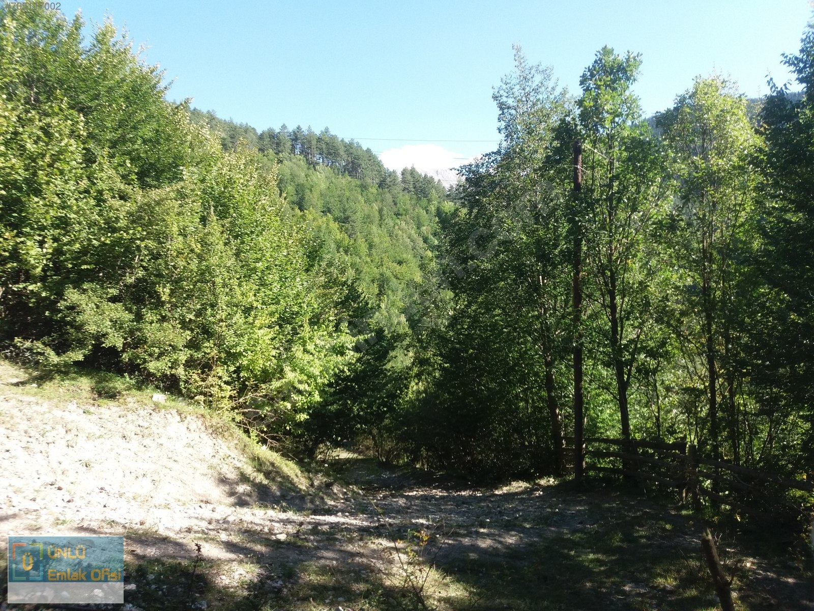 ÜNLÜ EMLAKTAN ILGAZ MANZARALI ORMAN İÇİNDE 50 DÖNÜM CAZİP ARAZİ - KASTAMONU MERKEZ fotoğraf 29