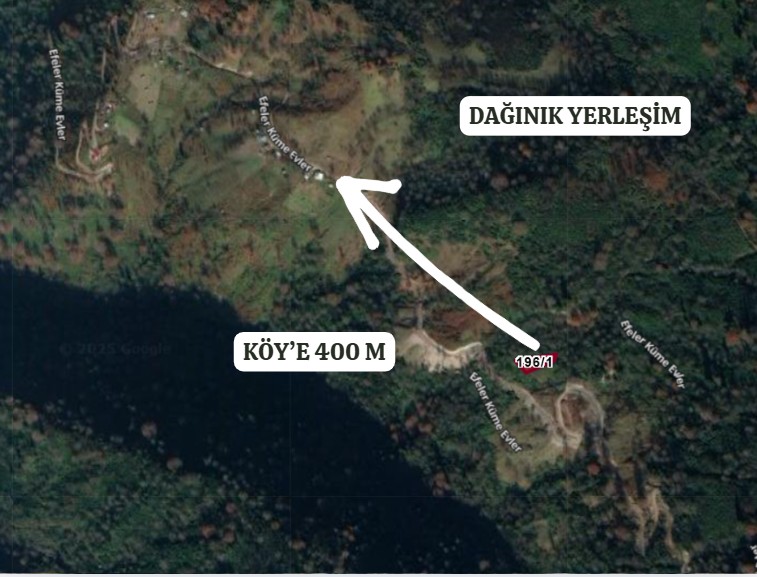 ARTVİN BORÇKA EFELER  KÖYÜ’NDE 1.008 M² FINDIK BAHÇESİ SATILIKTIR - ARTVİN BORÇKA fotoğraf 4