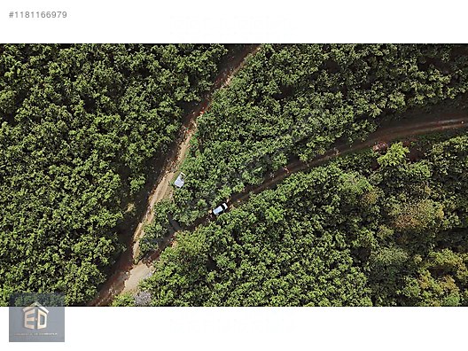 YOMRA GÜLYURDUN'DA SATILIK 6.298M2 ARSA - TRABZON YOMRA fotoğraf 11