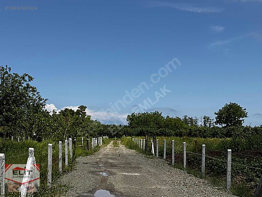 KARASU KUYUMCULUDA SATILIK 463 M2 FIRSAT ARSA - SAKARYA KARASU fotoğraf 5