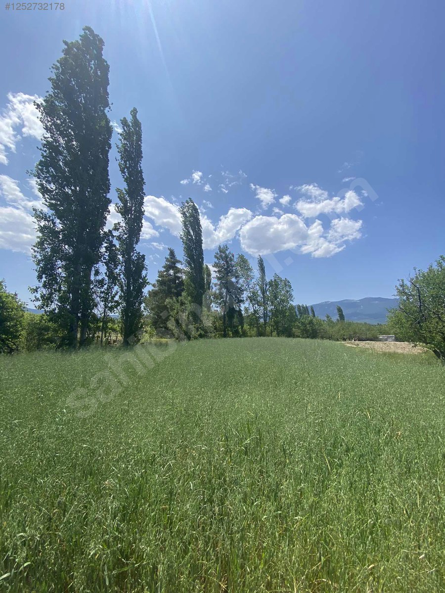 Antalya / Kaş / Yaylapalamut Mahallesinde 1.299 m² SATILIK ARSA  - ANTALYA KAŞ fotoğraf 3