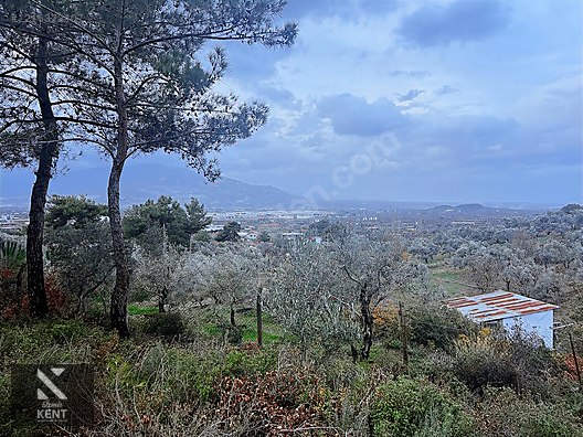 Kemalpaşa Armutlu Hürriyet Mah. Satılık 1.950 m2 Bahçe - İZMİR KEMALPAŞA fotoğraf 19