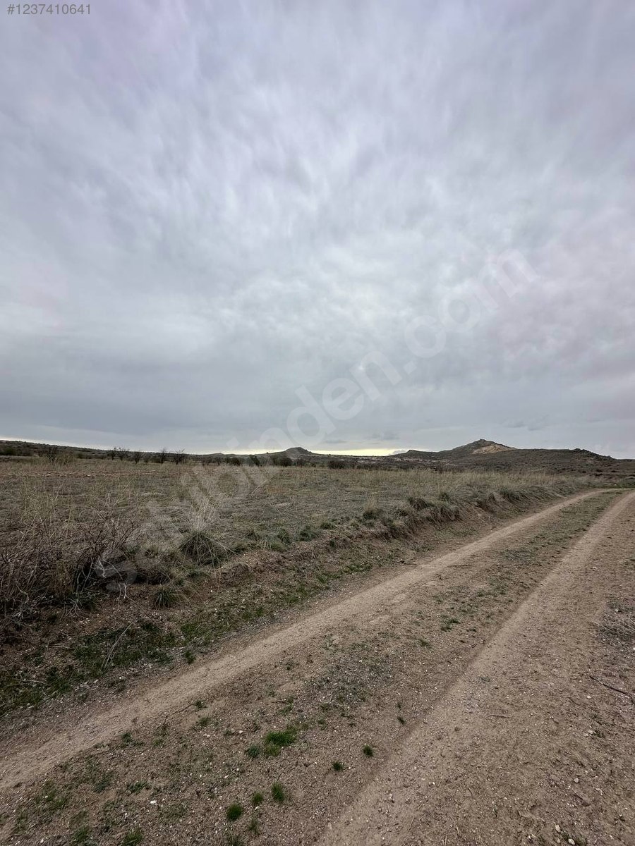 NEVŞEHİR MERKEZ UÇHİSAR  KÖYÜNDE  2.440  M² BAĞ  SATILIKTIR - NEVŞEHİR MERKEZ fotoğraf 7