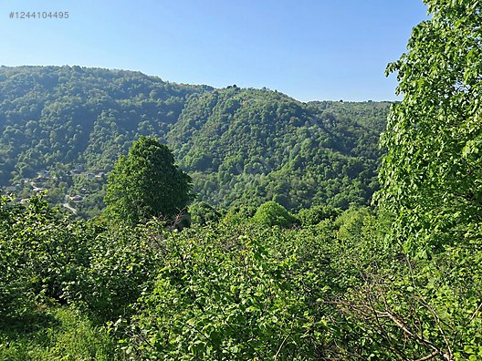 IHSANIYE DE DENIZ VE DOĞA MANZARALI - KOCAELİ GÖLCÜK fotoğraf 4
