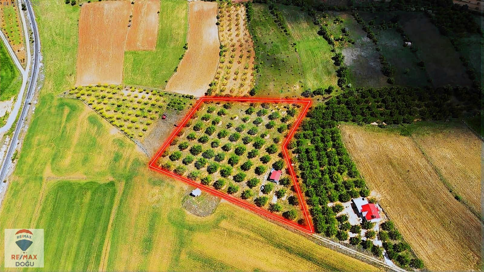 REMAX DOĞUDAN EKRÜZDE SATILIK CEVİZ BAHÇESİ - ELAZIĞ MERKEZ fotoğraf 4