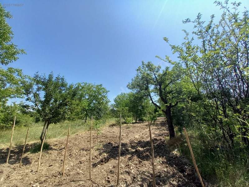 BURSA KELEŞ DAVUTLAR KÖYÜ'NDE 413 M²  TARLA SATILIKTIR - BURSA KELES fotoğraf 6