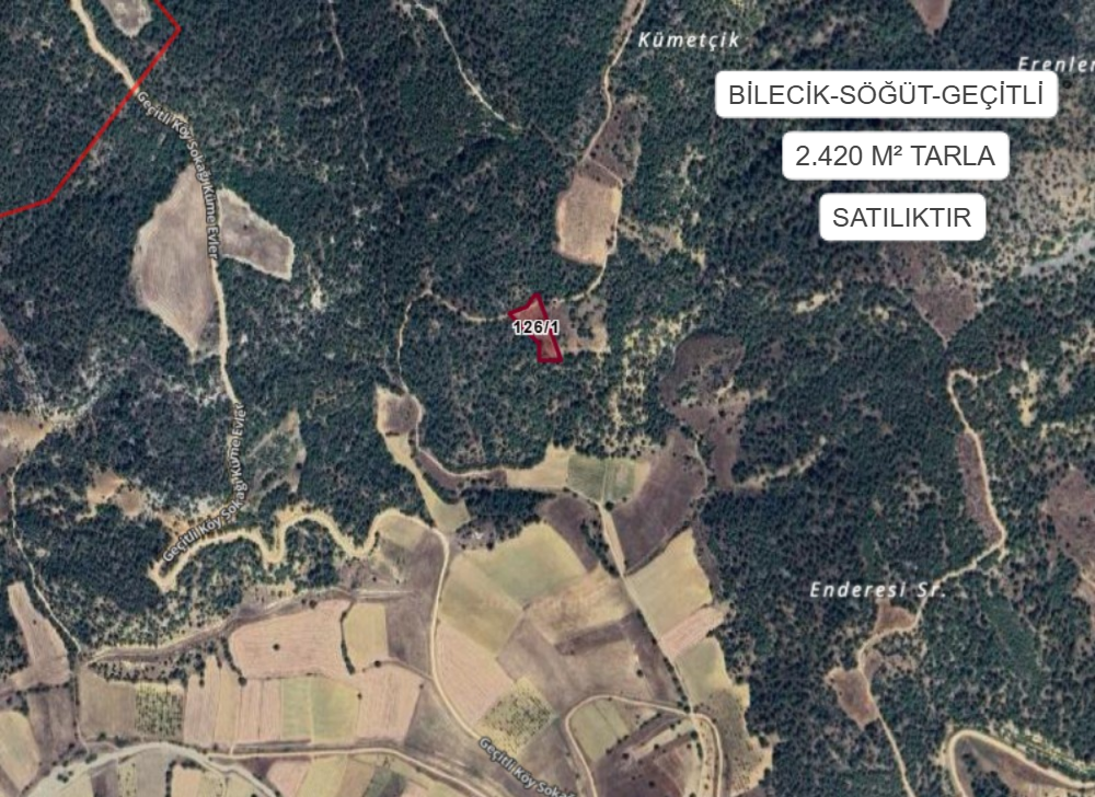 BİLECİK SÖĞÜT GEÇİTLİ  KÖYÜ’NDE 2.420 M² TARLA SATILIKTIR - BİLECİK SÖĞÜT fotoğraf 2