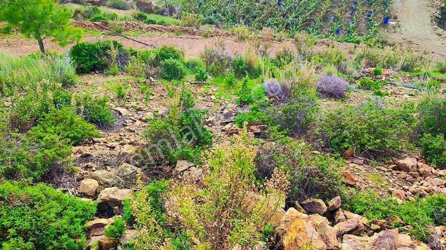 Anchor Gayrimenkul'den Demirören Mahallesin'de Satılık Tarla - MERSİN ANAMUR fotoğraf 5