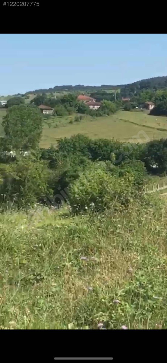 ACİL 14 DÖNÜM ARAÇ TAKASLII, FIRSAT FİYATINA. - KOCAELİ KANDIRA fotoğraf 5