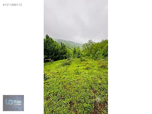 14 DÖNÜM TEK TAPU - BARTIN MERKEZ fotoğraf 16