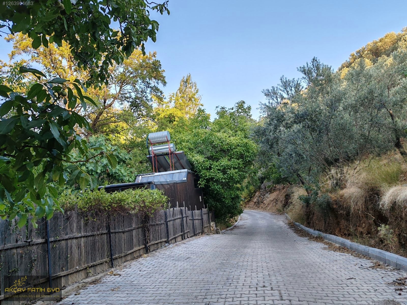Zeytinli de 8.5 Dönüm SATILIK Zeytinlik - BALIKESİR EDREMİT fotoğraf 3
