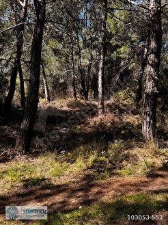 KAŞ GELEMİŞ ACİL SATILIK 2B TARLA... - ANTALYA KAŞ fotoğraf 2