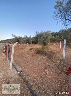 Harika Manzaralı Dinlencelik.. - İZMİR TORBALI fotoğraf 3