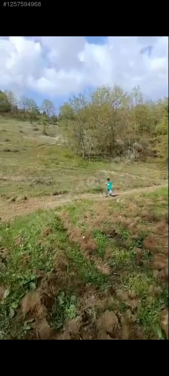 KOCAELİ İZMİT BULDUK  KÖYÜNDE 985 M²  TARLA  SATILIKTIR - KOCAELİ İZMİT fotoğraf 13