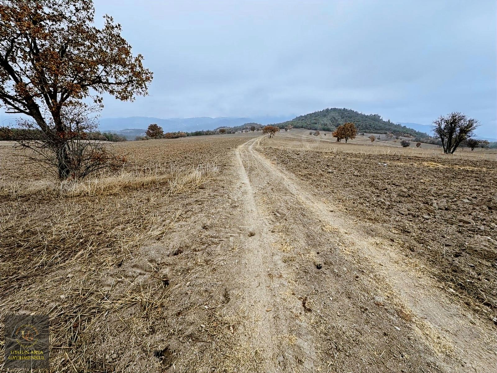 BOLU GÖYNÜK KARAARDIÇ'TA 4.921 M2 UYGUN ARSA - BOLU GÖYNÜK fotoğraf 8