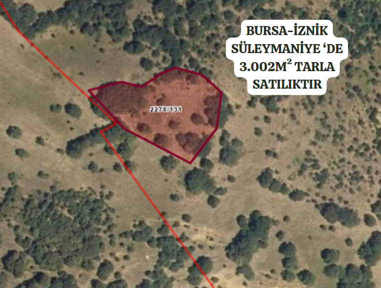 BURSA İZNİK SÜLEYMANİYE'DE 3.002  M² TARLAMIZ SATILIKTIR - BURSA İZNİK fotoğraf 2