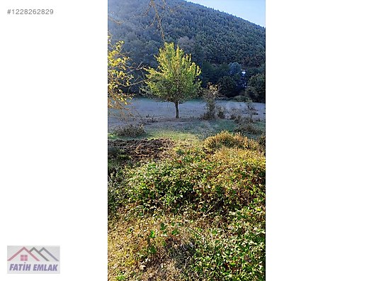 FATİH'TEN HAYDARİYEDE 1295m2 ASFALTA CEPHE MÜSTAKİL PARSEL ARSA - BURSA GEMLİK fotoğraf 3