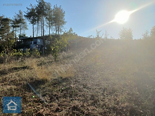 ÇAĞLAR'DAN TOPRAKDERE DE 823m2 MÜSTAKİL TARLA YOL+SU VAR - BURSA YENİŞEHİR fotoğraf 6