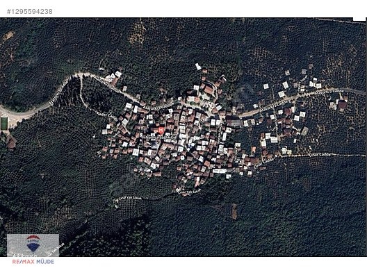 BURSA ORHANGAZİ NARLICA MAH. 1.247 M2 SATILIK ZEYTİNLİK - BURSA ORHANGAZİ fotoğraf 16