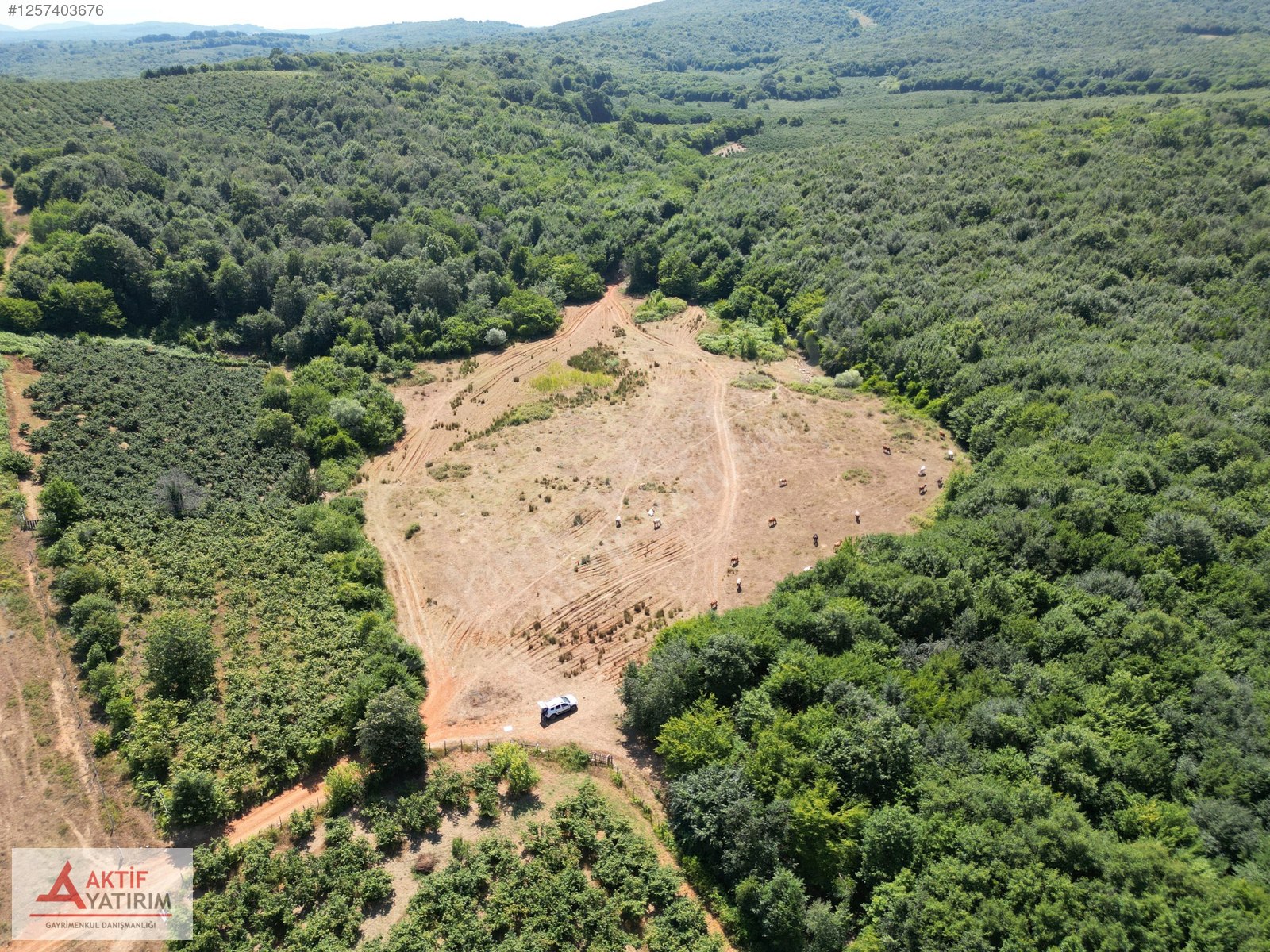 ORMANLA ÇEVRİLİ PLAJA YÜRÜME MESAFESİNDE 2118 M2 SATILIK HİSSE - KOCAELİ KANDIRA fotoğraf 2