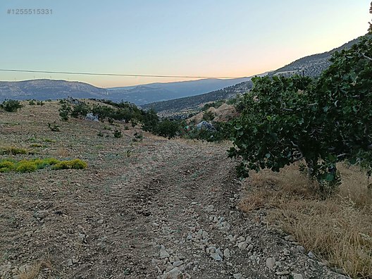    MERSİN MUT GEÇİMLİ KÖYÜ 6,866M² BAĞIMIZ SATILIKTIR.   - MERSİN MUT fotoğraf 3