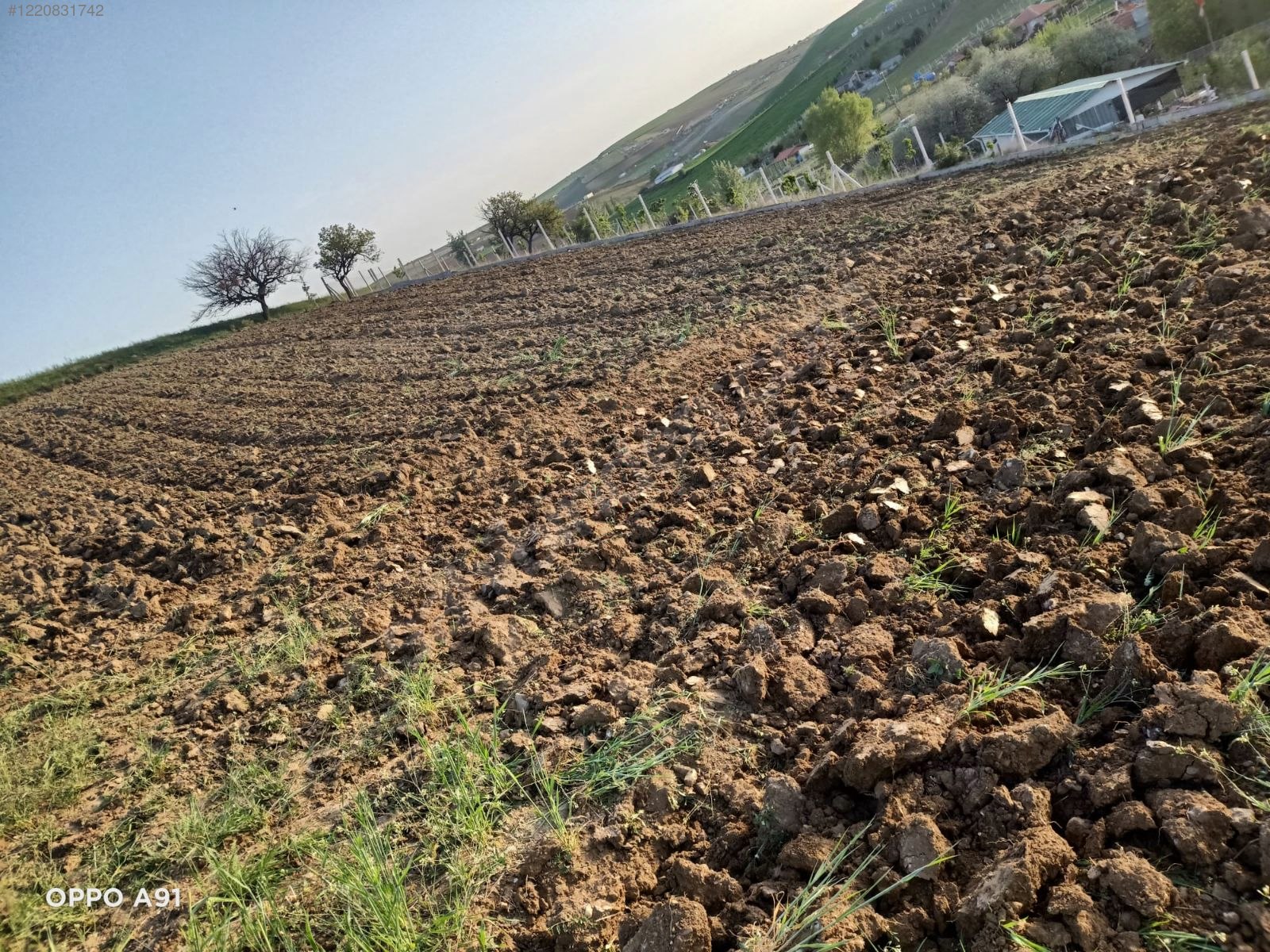 ANKARA ALTINDAĞ KAVAKLI KÖYÜNDE TARLAMIZIN 1.425 M² Sİ  SATILIKTIR - ANKARA ALTINDAĞ fotoğraf 7