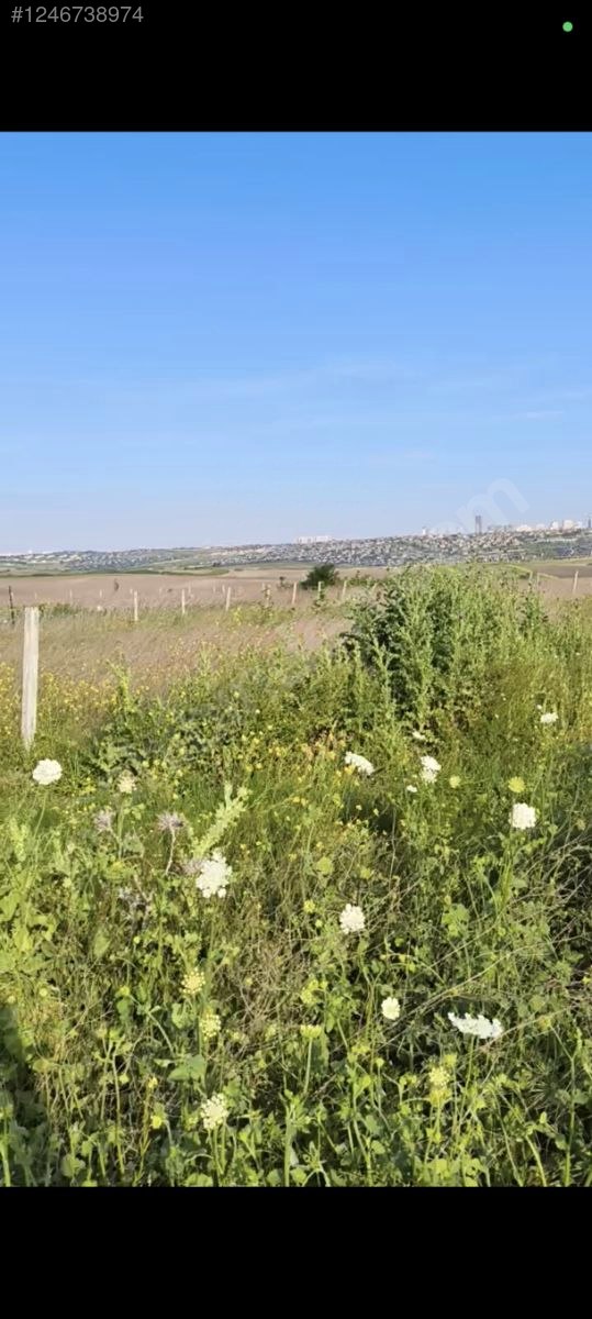 sahibinden satılık arsa yer Büyük çekmece - İSTANBUL BÜYÜKÇEKMECE fotoğraf 2