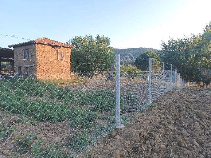 Balıkesir Burhaniye Bahadınlı Köyünde Satılık Tarla Bahçe - BALIKESİR BURHANİYE fotoğraf 5