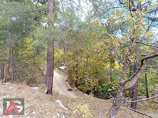 !!! FIRSAT TEKLİF !!! KARACAÖREN MAH. 564m2 ARAZİ UYGUN FİYAT !! - ANTALYA KUMLUCA fotoğraf 14