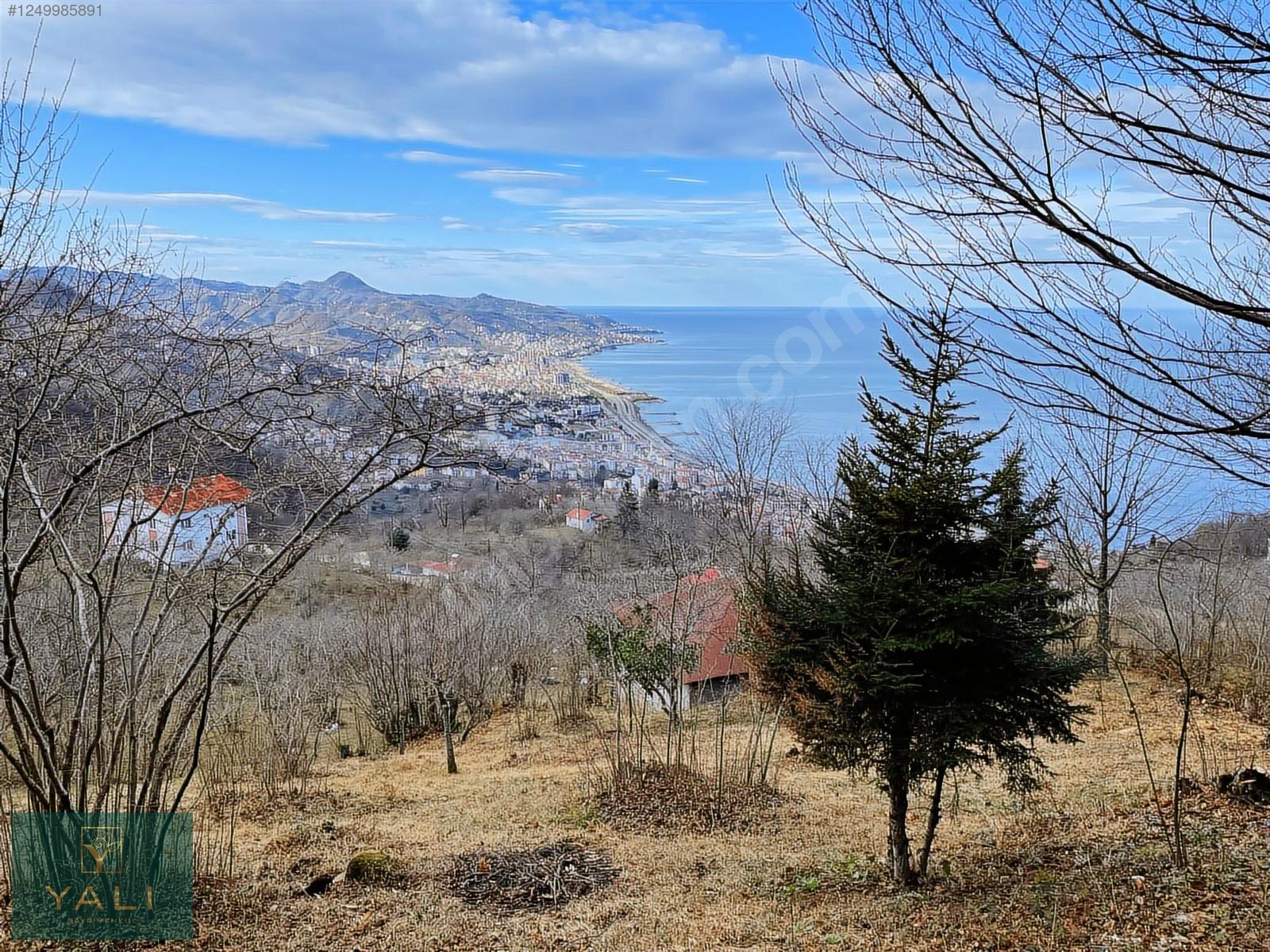 ÇITLAKKALEDE 1050M2 MUHTEŞEM DENİZ MANZARALI İMARLI ARSA - GİRESUN MERKEZ fotoğraf 3