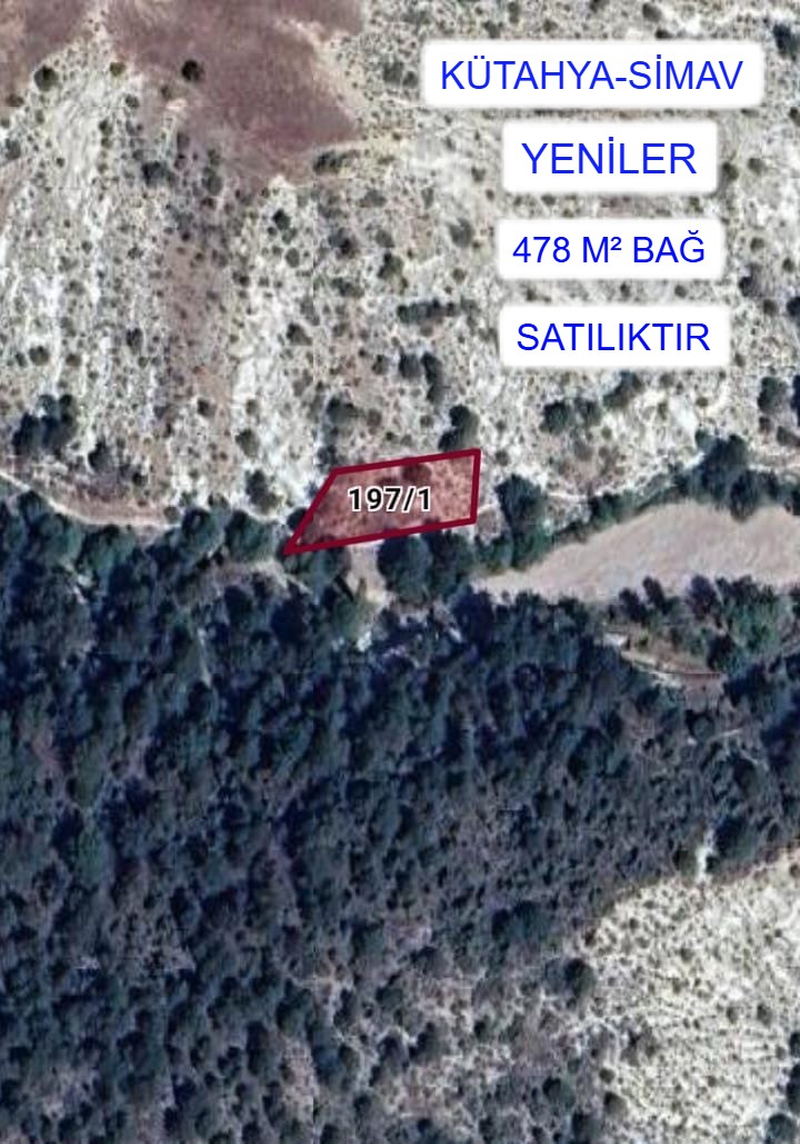 KÜTAHYA SİMAV YENİLER MAH. 478 M² BAĞIMIZ SATILIKTIR. - KÜTAHYA SİMAV fotoğraf 6