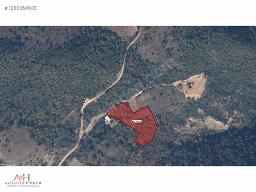 AYHAN HEPDİKER DEN GEYVE ILICA'DA 3863 M2 YOLLU ORMAN MANZARALI - SAKARYA GEYVE fotoğraf 2