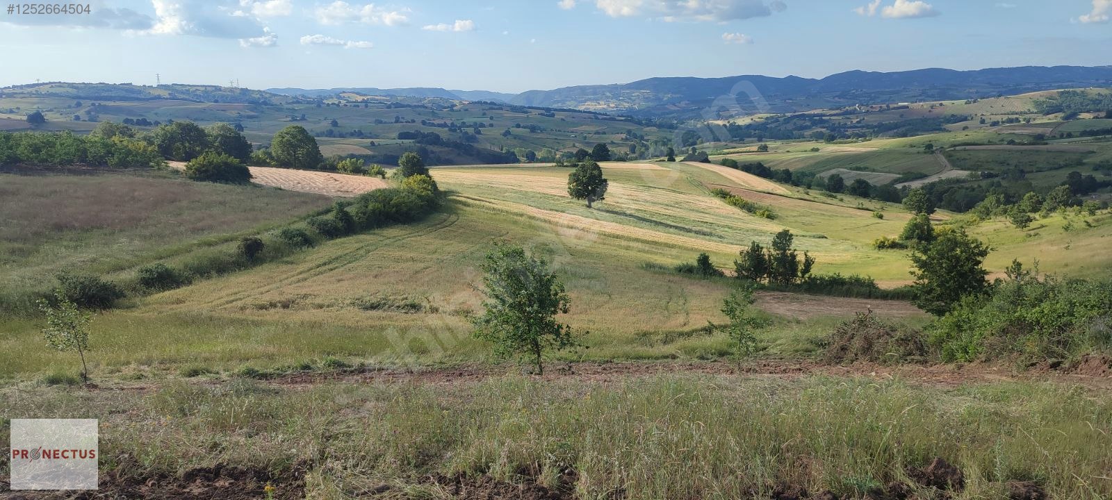 KIZDERBENT MAHALLESİNDE RESMİ YOLLU 2293 M2 SATILIK TARLA - KOCAELİ KARAMÜRSEL fotoğraf 14