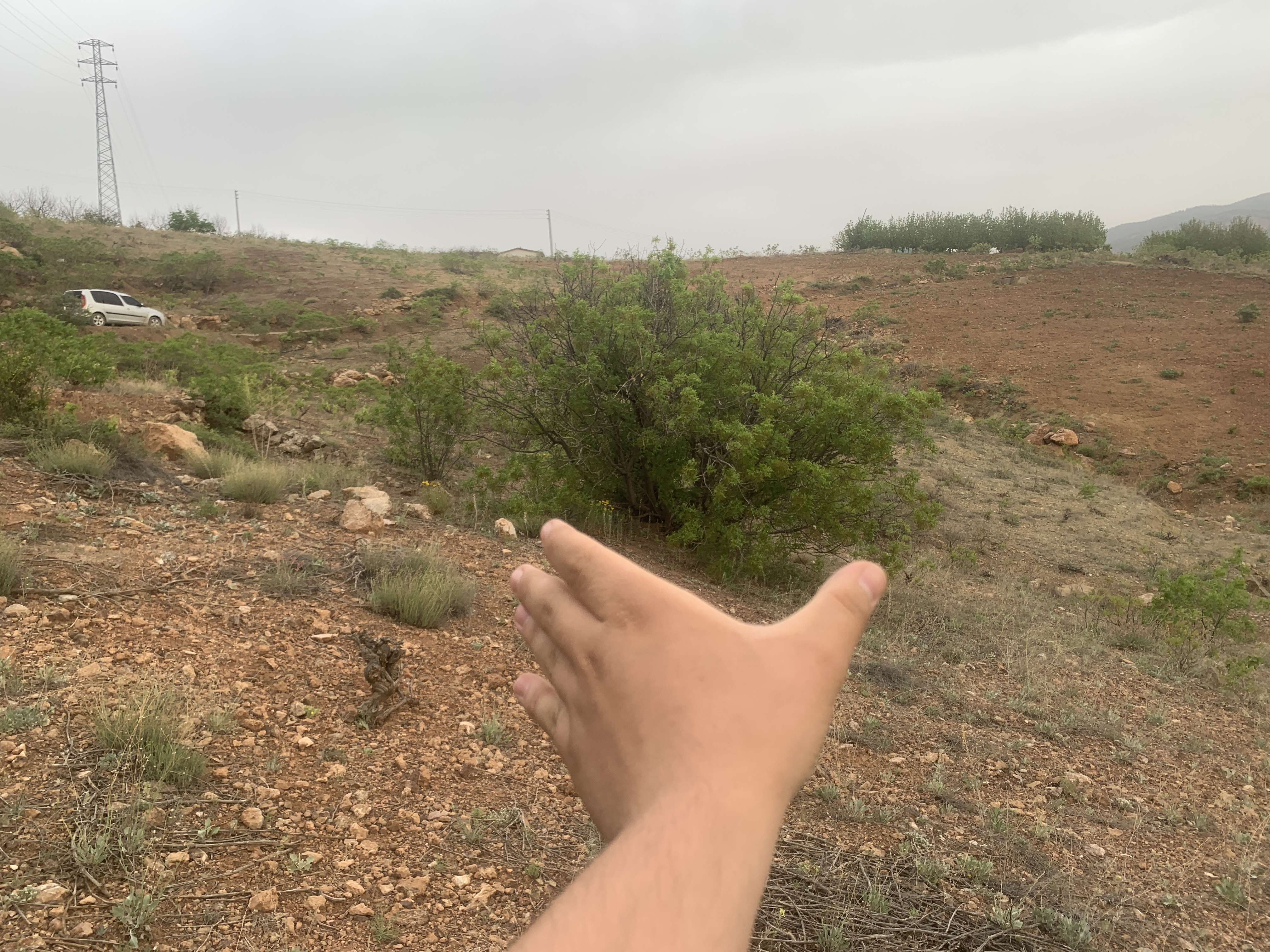 KONYA HADİM AŞAĞI EŞENLER KÖYÜNDE 1.064 M² TARLA SATILIKTIR. - KONYA HADİM fotoğraf 21