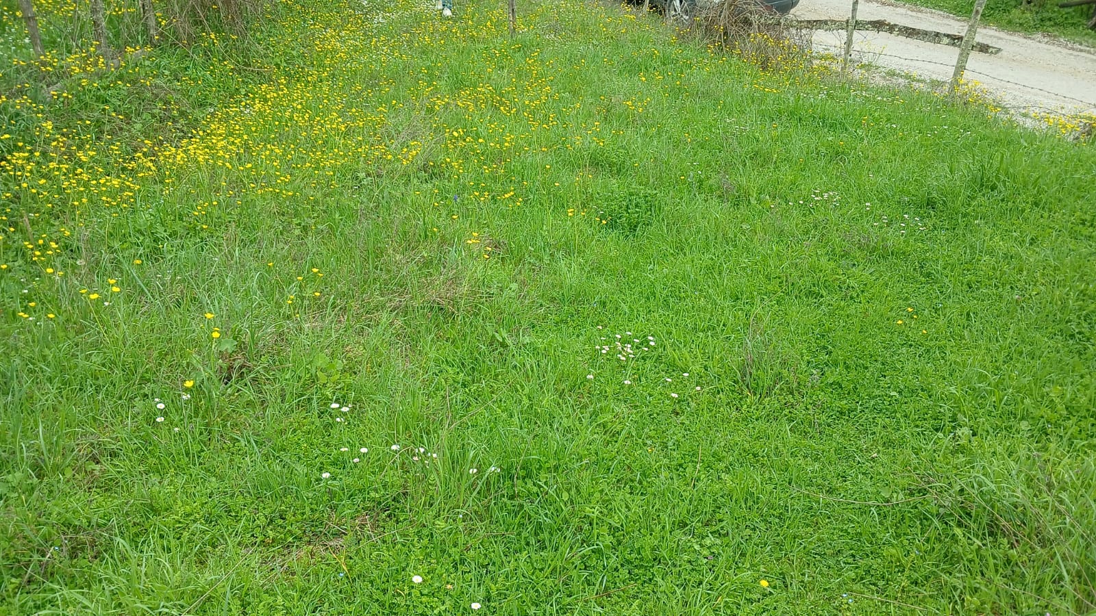 SİNOP DİKMEN AKÇAKESE KÖYÜ 109 M² BAHÇEMİZ SATILIKTIR. - SİNOP DİKMEN fotoğraf 7