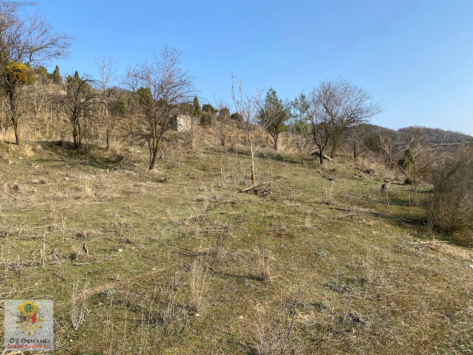 400 m2 ANAYOLA CEPHELİ FIRSAT HOBİ BAHÇESİ - BİLECİK SÖĞÜT fotoğraf 3