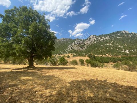 Burdur Ağlasun Hisarköy Satılık Yatırımlık Arazi 📌çakır Emlak - BURDUR AĞLASUN fotoğraf 3