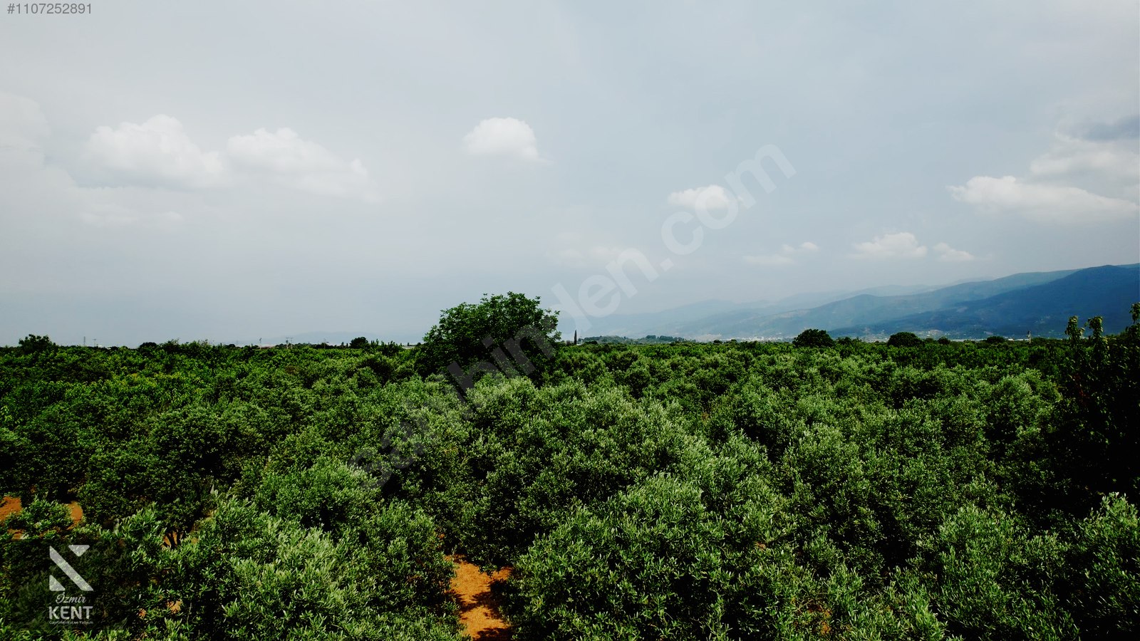 Kemalpaşa Aşağıkızılca Satılık Bahçe Tek Tapu 881 m2 - İZMİR KEMALPAŞA fotoğraf 13