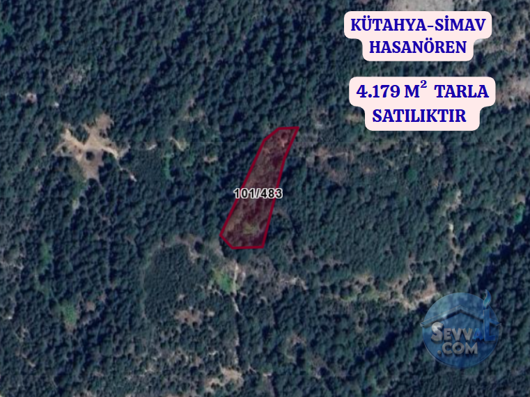KÜTAHYA SİMAV HASANÖREN  KÖYÜNDE  4.179 M² TARLA  SATILIKTIR - KÜTAHYA SİMAV fotoğraf 2