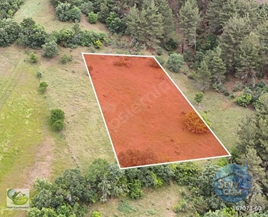🚨 TAVŞANLI'DA KÖYÜN ÜSTÜNDE 1.725 M² HARİKA ARAZİ 🚨 - KÜTAHYA TAVŞANLI fotoğraf 9