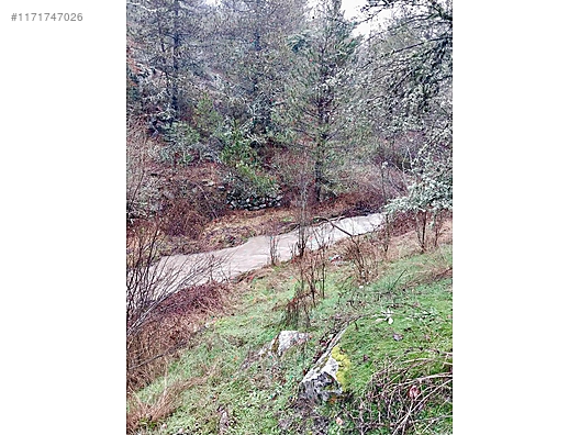 BURSA KELES KİRAZLI KÖYÜNDE 1.305  M² BAHÇE SATILIKTIR - BURSA KELES fotoğraf 3