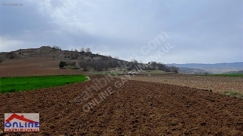 Araç Takaslı - BİLECİK YENİPAZAR fotoğraf 3