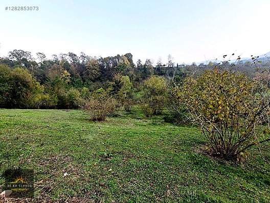 SAKARYA-KARAPÜRÇEK-MESUDİYE MAHALLE MERKEZİNDE SATILIK TARLA - SAKARYA KARAPÜRÇEK fotoğraf 11