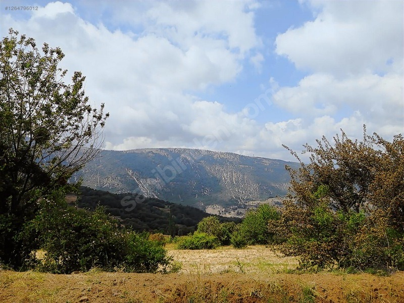 TAŞKESTİ EMLAKTAN BUNGALOVLUK 2 TARLA BİRLİKTE - BOLU MUDURNU fotoğraf 4