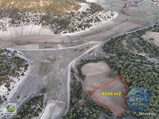 🚨 KÜTAHYA / AKÇAMESCİT'TE KÖYÜN ÜSTÜNDE 4.548 M² HARİKA ARAZİ 🚨 - KÜTAHYA MERKEZ fotoğraf 7