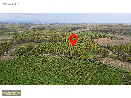 YATIRIM FIRSATI! ERENLER/ŞEYHKÖY MAH. 24.620 M² - SAKARYA ERENLER fotoğraf 18
