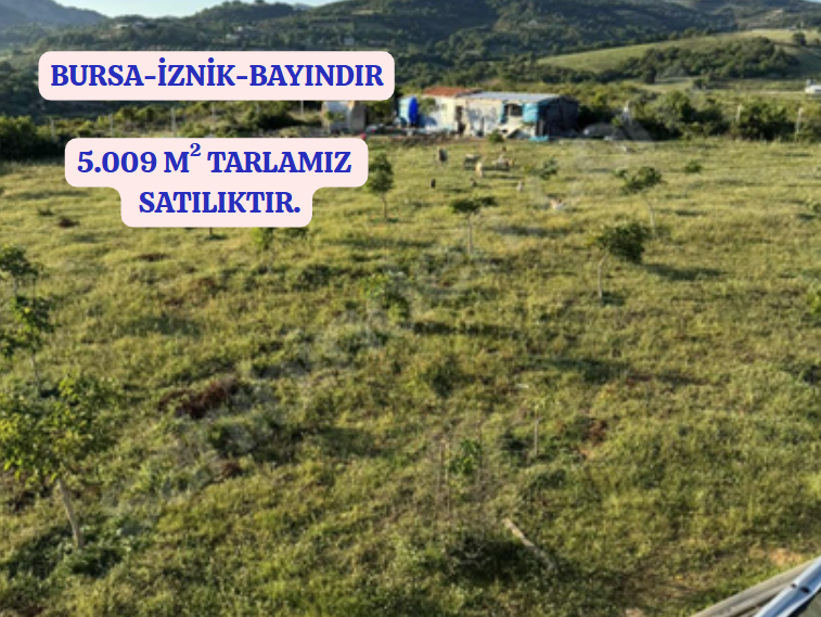 BURSA İZNİK BAYINDIR KÖYÜNDE 5.009 M TARLA SATILIKTIR - BURSA İZNİK fotoğraf 2